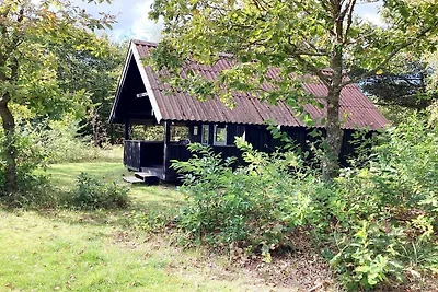 4 persoons vakantieparkhuis in Pandrup