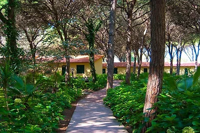 Studio in pineta in Sardegna