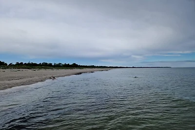 12 Personen Ferienhaus in Idestrup-By Traum