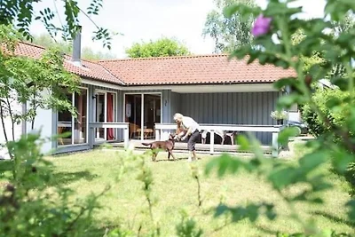 Ferienhaus im Ferienpark Mirow