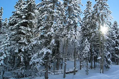 3 Teile für 4 Personen