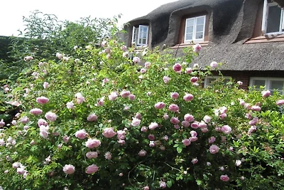 Appartement de vacances avec 1 chambre
