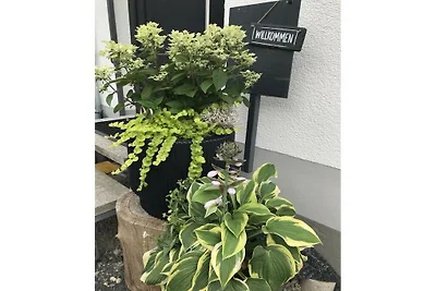 Ferienwohnung mit 1 Schlafzimmer