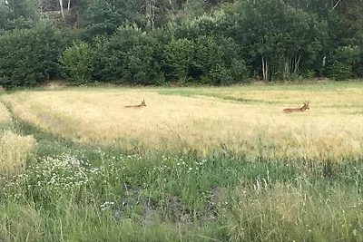 6 Persone case ad HUNNEBOSTRAND