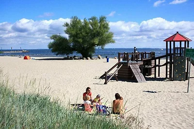 Im Naturpark Stettiner Haff