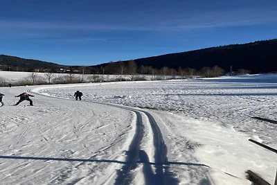 Ferienhaus Seeboden nahe Ski und See