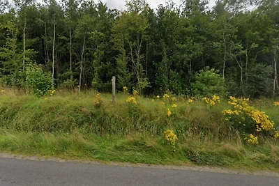 4 Personen Ferienhaus in Ansager-By Traum