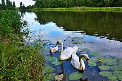 Ferienhaus in Kladno mit privatem Pool