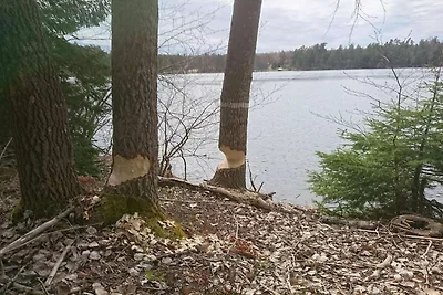 4 Sterne Ferienhaus in MARIEFRED