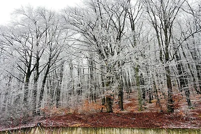 Gemütlicher Aufenthalt im Ferienpark...