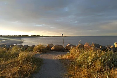 Rustig toevluchtsoord in Hou Oasis-By Traum