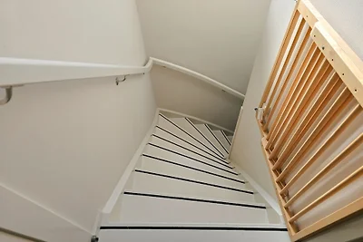 DO36 Vakantiehuis met hond Domburg