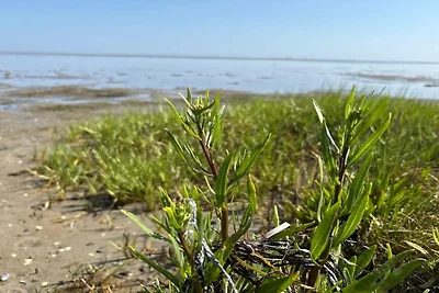 11 Personen Ferienhaus in Ørsted-By Traum