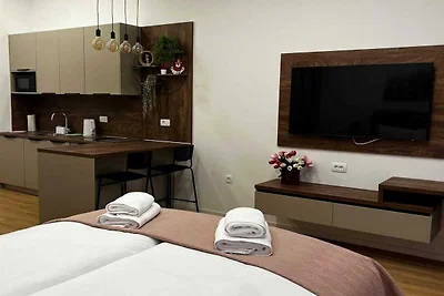 Like Zagreb - Downtown Apartment - Studio Apa...