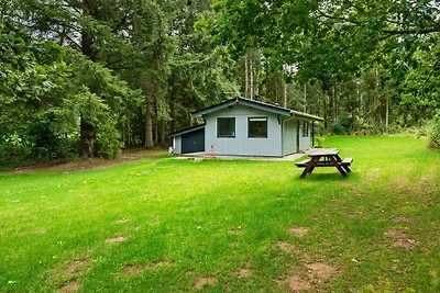 Ferienhaus Erholungsurlaub Dänemark