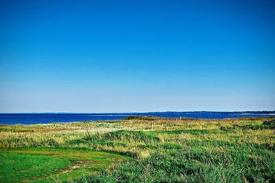 10 persoons vakantie huis in Ørsted