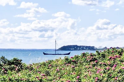 4 Personen Ferienhaus in Assens