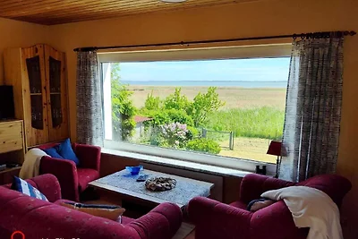 Wunderschönes Ferienhaus am Schilfufer in...