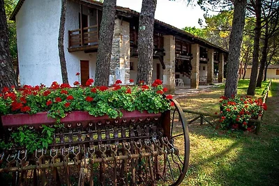 Grado Appartamento nel Belvedere Resort