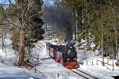 Palazzina Der Krauterhof, Drei Annen Hohne