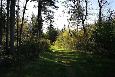 Rustig toevluchtsoord in Klitmoller