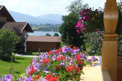 Ferienwohnung mit 1 Schlafzimmer