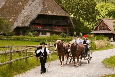 Ferienhaus mit 1 Schlafzimmer