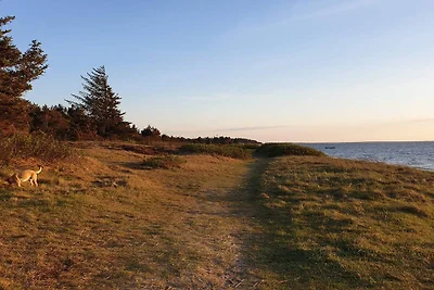 Serenite en Bord de Mer a Skaven Strand-By...