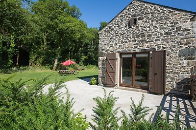 Schönes Ferienhaus mit Kamin in Tavistock