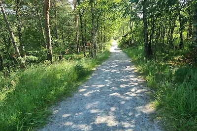 6 Personen Ferienhaus in hommersåk