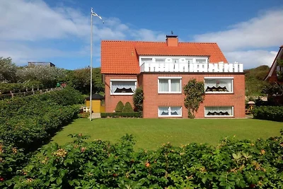 Strandflieder im Haus Meeresgruß