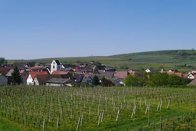 Frühburgunder en la casa de vacaciones...