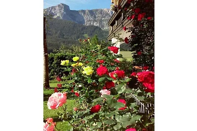 Hirterhütte Familie  Gsenger