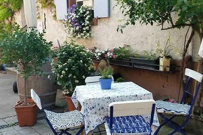Sistemazione nel mezzo di un'azienda vinicola