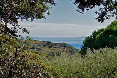 Casetta Furrer Terranera