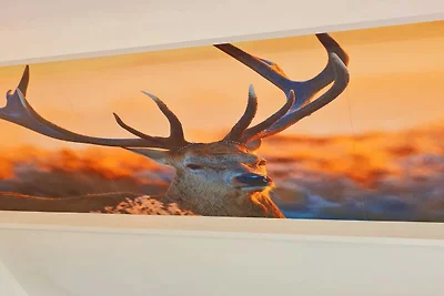 Comfortabel omheind chalet in Durbuy