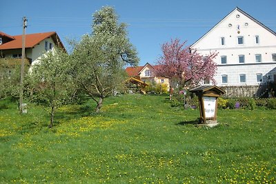 Ferienwohnung mit eigener Terrasse, Garten