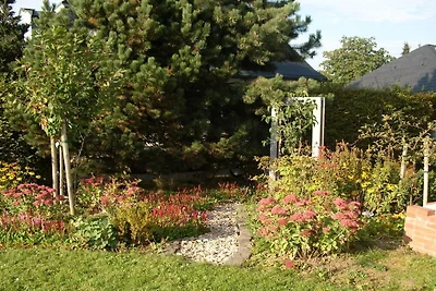 Auf dem schönen Feld ||