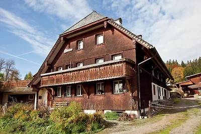 Vakantieappartement in het Zwarte Woud met...