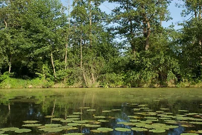Ferienhaus Parey am See