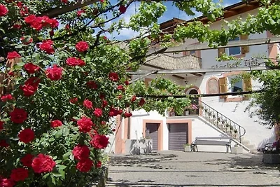 Im kleinen Paradies Stöckerhof