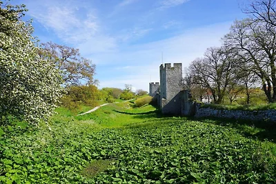 4 Sterne Ferienhaus in VISBY