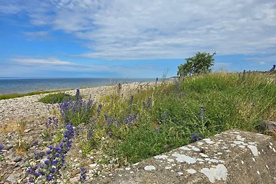 4 stelle case ad GOTLANDS TOFTA-By Traum