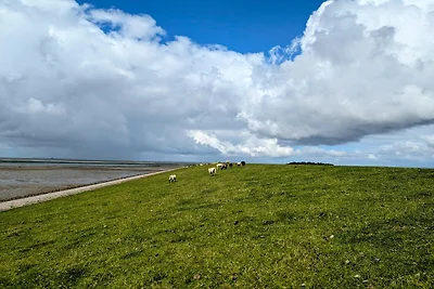 Penthouse aan het Noorderstrand op de dijk