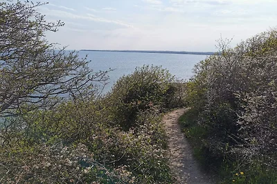 8 Personen Ferienhaus in Ebeltoft-By Traum