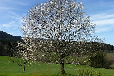 Rohnberg - SeidlHof