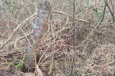 8 Personen Ferienhaus in Ebeltoft