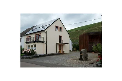 Pinot Noir im Weingut Regnery