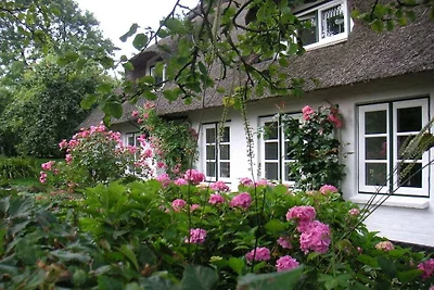"The Coachman's Cottage"