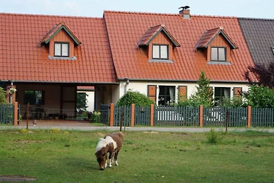 Ferienhaus in Ludorf mit Schwimmbecken